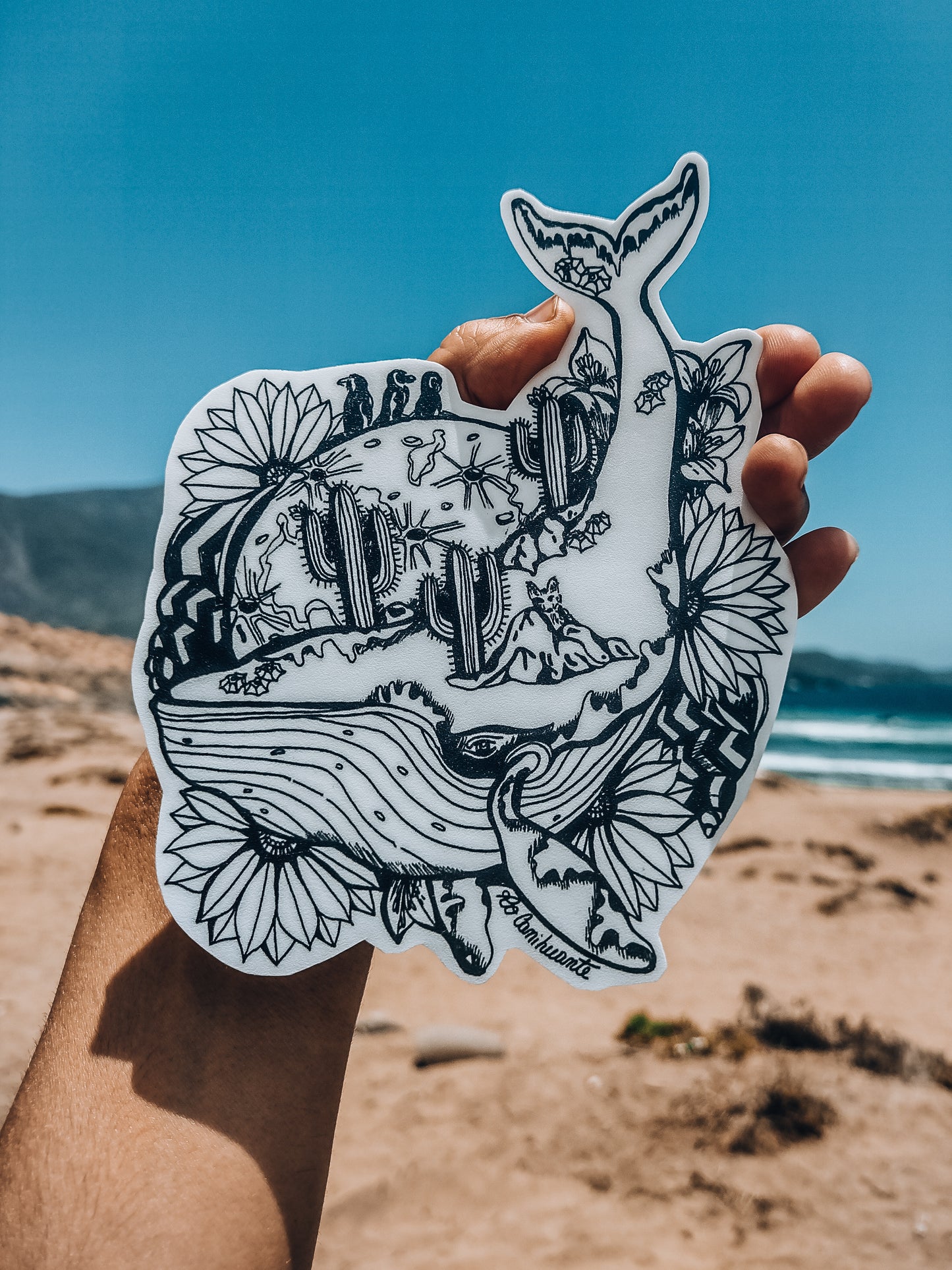 Sticker Chañaral de Aceituno