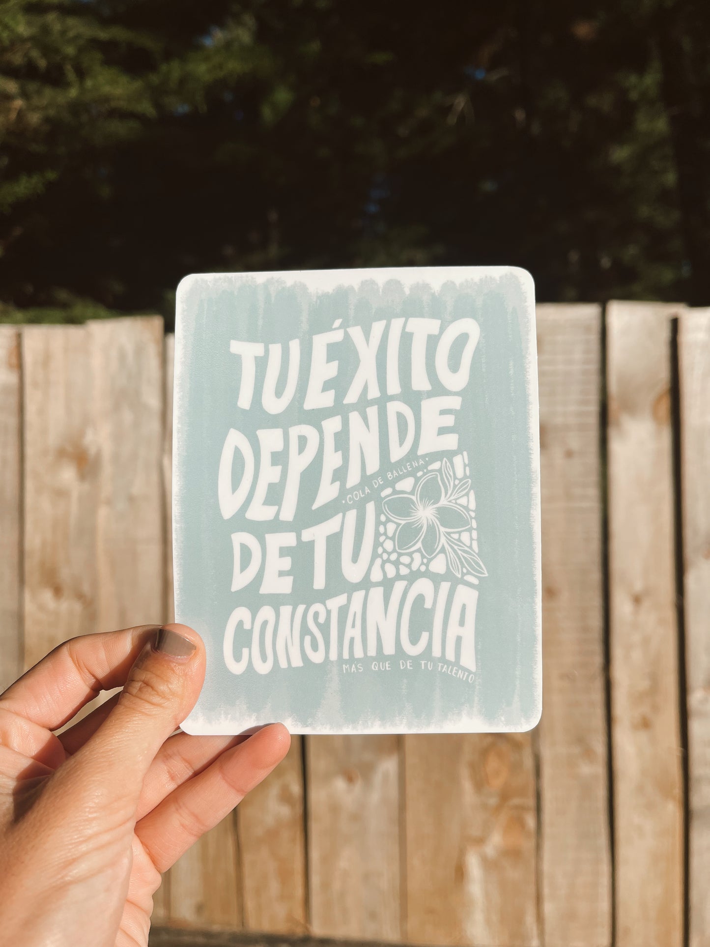 Sticker Constancia