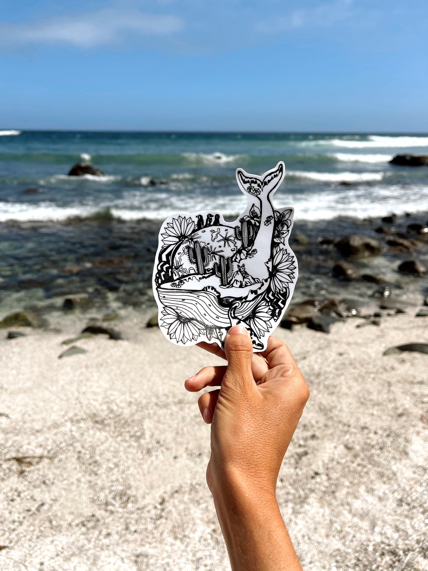 Sticker Ballena Chañaral Aceituno