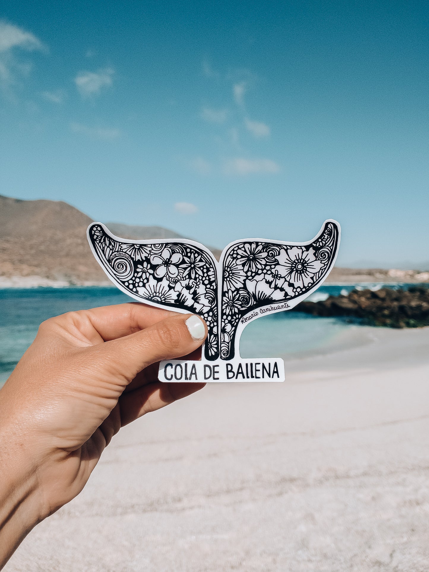Sticker Cola de ballena