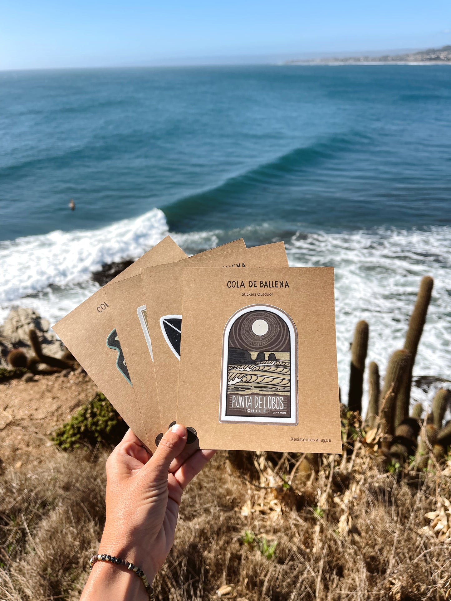 Sticker Arco Punta de Lobos
